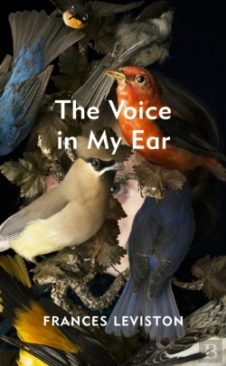 Bertrand.pt - Voice In My Ear