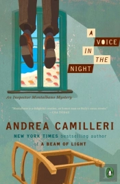 Voice In The Night