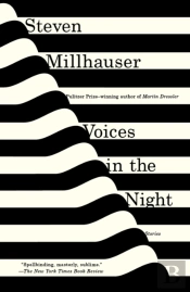 Voices In The Night