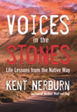 Bertrand.pt - Voices In The Stones