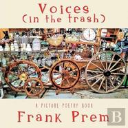 Voices (In The Trash)