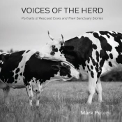 Voices Of The Herd