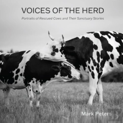 Bertrand.pt - Voices Of The Herd
