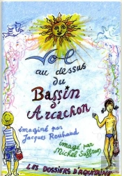 Vol Au Dessus Du Bassin D'Arcachon