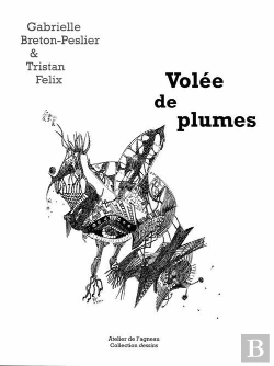 Bertrand.pt - Volée De Plumes ; Duo De 36 Dessins À La Plume Et À L'Encre De Chine