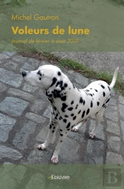 Voleurs De Lune : Journal De Février À Août 2019