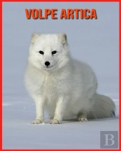 Volpe Artica