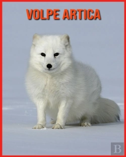 Bertrand.pt - Volpe Artica