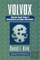 Volvox