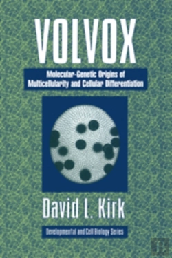 Bertrand.pt - Volvox