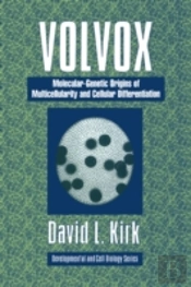 Volvox