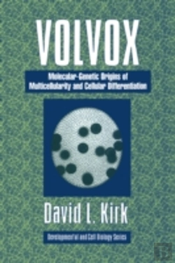 Bertrand.pt - Volvox