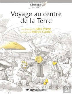 Bertrand.pt - Voyage Au Centre De La Terre - Lot De 25 Romans + Fichier