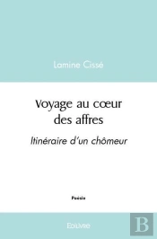 Voyage Au Coeur Des Affres - Itineraire D'Un Chomeur