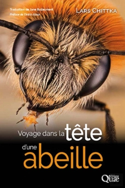 Bertrand.pt - Voyage Dans La Tête D'Une Abeille