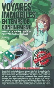 Voyages Immobiles ; En Temps De Confinement