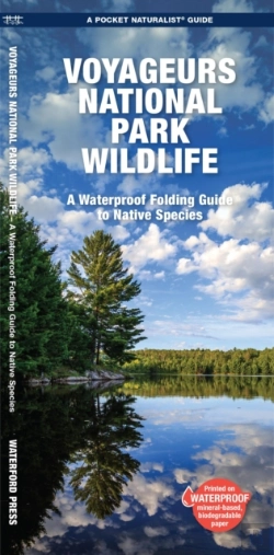 Bertrand.pt - Voyageurs National Park Wildlife