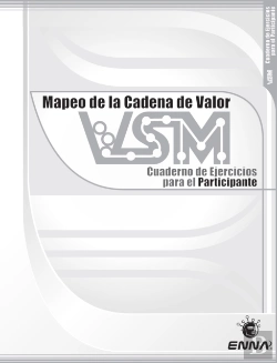 Bertrand.pt - Vsm Participant Workbook (Spanish)