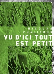 Vu D'Ici Tout Est Petit - Suivi De Vert De Gris