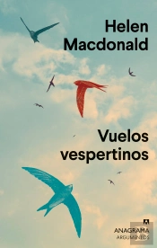 Vuelos Vespertinos