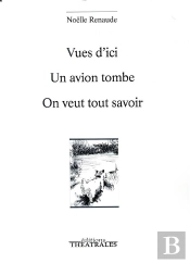 Vues D'Ici-Un Avion Tombe-On Veut Tout Savoir