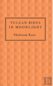 Vulcan Bides In Moonlight