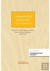 Vulnerabilidad Patrimonial Retos Juridicos