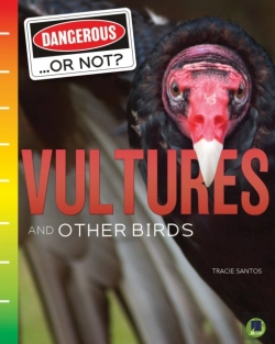 Bertrand.pt - Vultures And Other Birds