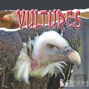 Vultures