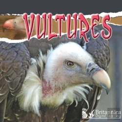 Bertrand.pt - Vultures