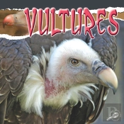 Vultures