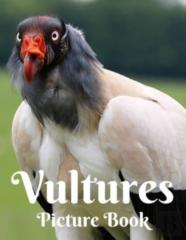 Vultures Picture Book