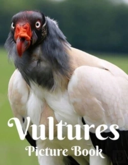 Bertrand.pt - Vultures Picture Book