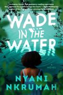 Wade In The Water