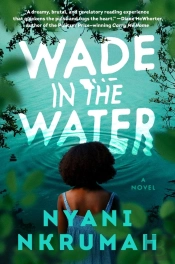 Wade In The Water