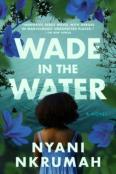 Wade In The Water