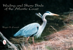 Bertrand.pt - Wading & Shore Birds Of The Atlantic Coast