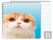 Waffles The Cat Greenjournal