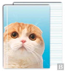 Bertrand.pt - Waffles The Cat Greenjournal