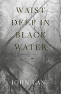 Waist Deep In Black Water