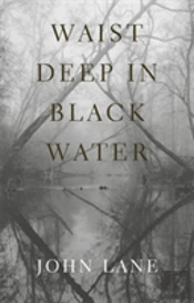 Waist Deep In Black Water
