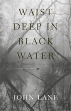 Bertrand.pt - Waist Deep In Black Water
