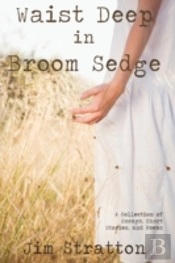 Waist Deep In Broom Sedge