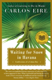 Waiting For Snow In Havana