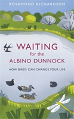 Bertrand.pt - Waiting For The Albino Dunnock