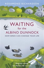 Waiting For The Albino Dunnock