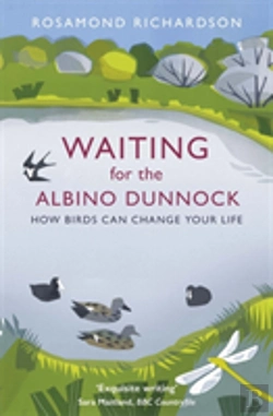 Bertrand.pt - Waiting For The Albino Dunnock