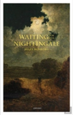 Bertrand.pt - Waiting For The Nightingale