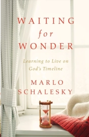 Waiting For Wonder
