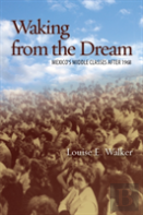 Waking From The Dream